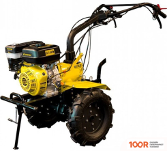 Champion BC1193 (173207)