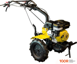 Champion BC1193 (173207)