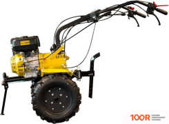 Champion BC1193 (173207)