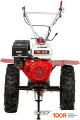 Brait BR-135GD PRO СТАНДАРТ (173190)