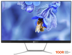 Моноблок ТЕСЛА Z24B 7408500 (173096)