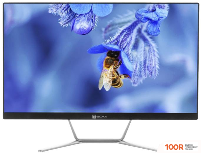 Моноблок ТЕСЛА Z24B 7408250 (173095)