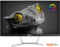 Моноблок ТЕСЛА Z24B 2108500 (173089)