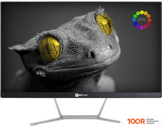 Моноблок ТЕСЛА Z24B 2108500 (173089)