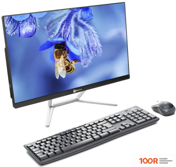 Моноблок ТЕСЛА Z24B 2108250 (173088)