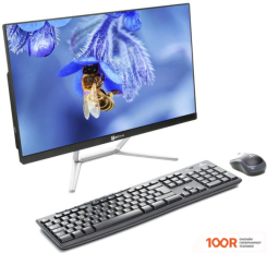 Моноблок ТЕСЛА Z24B 2108250 (173088)