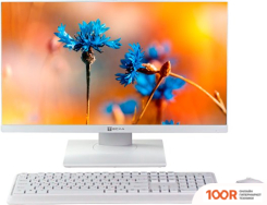 Моноблок ТЕСЛА P24WP 3116500 (173080)