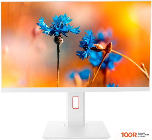 Моноблок ТЕСЛА P24WP 3116500 (173080)