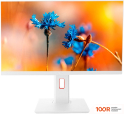 Моноблок ТЕСЛА P24WP 3116500 (173080)