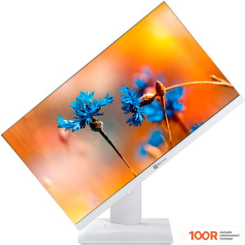 Моноблок ТЕСЛА P24WP 3116500 (173080)