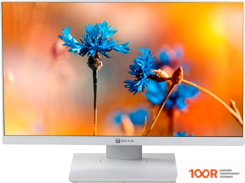 Моноблок ТЕСЛА P24WP 3116500 (173080)