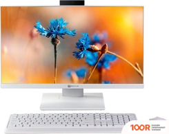 Моноблок ТЕСЛА P24WP 2416500 (173079)