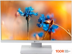 Моноблок ТЕСЛА P24WP 2416500 (173079)