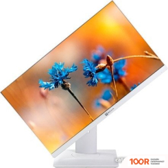 Моноблок ТЕСЛА P24WP 2116500 (173078)