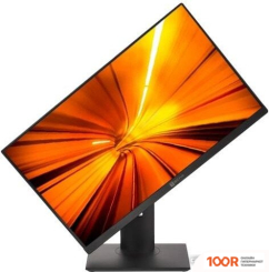 Моноблок ТЕСЛА P24BP 2108500 (173071)