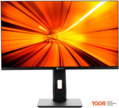 Моноблок ТЕСЛА P24BP 2108500 (173071)