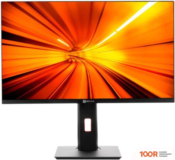 Моноблок ТЕСЛА P24BP 2108500 (173071)