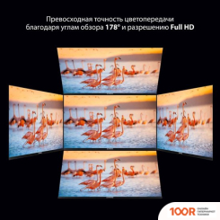 Монитор SunWind SUN-M27BA101 (168610)