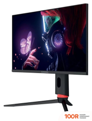 Монитор SunWind SUN-M24BG120 (168609)