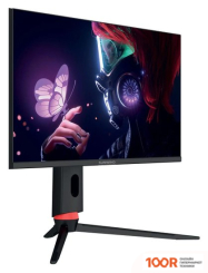 Монитор SunWind SUN-M24BG120 (168609)