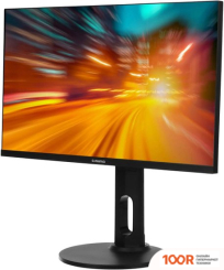 Монитор SunWind SUN-M24BA104 (168606)