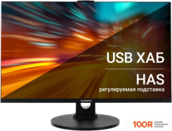 Монитор SunWind SUN-M24BA104 (168606)