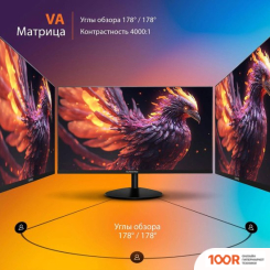 Монитор SunWind SUN-M24BA102 (168605)