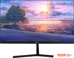 Монитор Sanc M2453J(N2453) (168568)