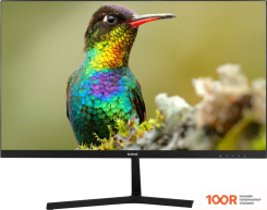 Монитор Sanc M2453 (168566)