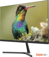 Монитор Sanc M2453 (168566)