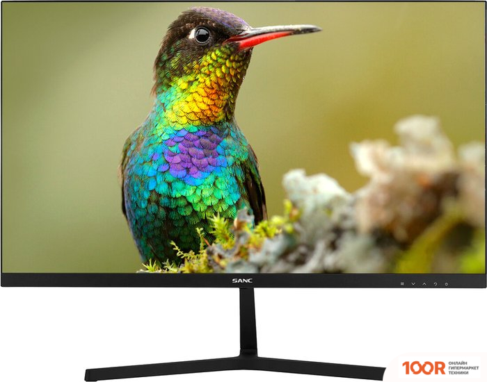 Монитор Sanc M2453 (168566)