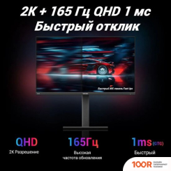 Монитор Sanc G5C II M2466QPT (168563)