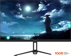 Монитор Sanc 24" N50 PRO LL M2442PH (168562)