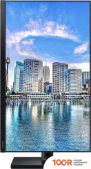 Монитор Samsung T45F LF24T450FZUXEN (168490)