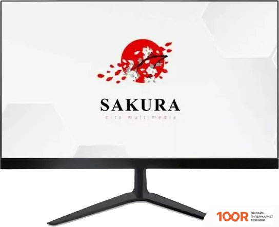 Монитор Sakura MCA-F-024 (168120)