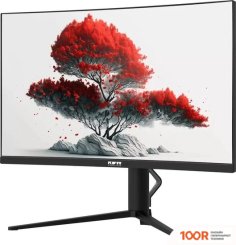 Монитор RDW Computers RDW2706C (168115)