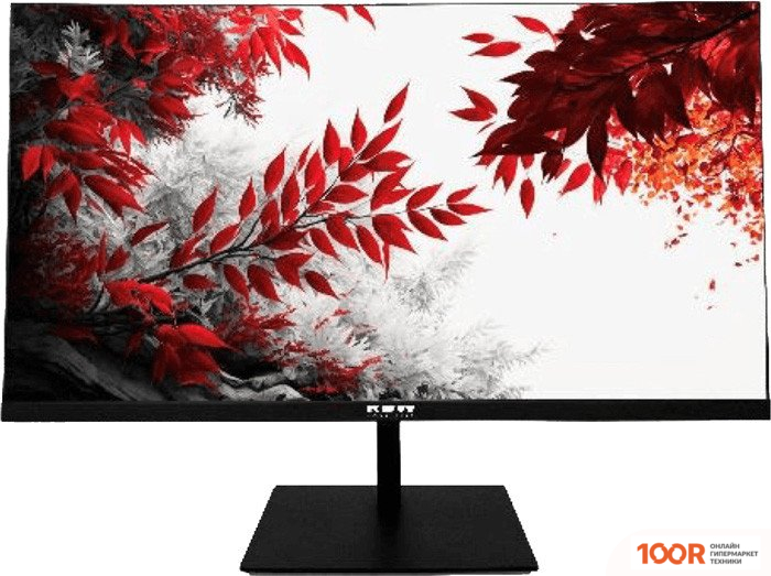 Монитор RDW Computers RDW2702K/Q19В3100V2A1 (168114)