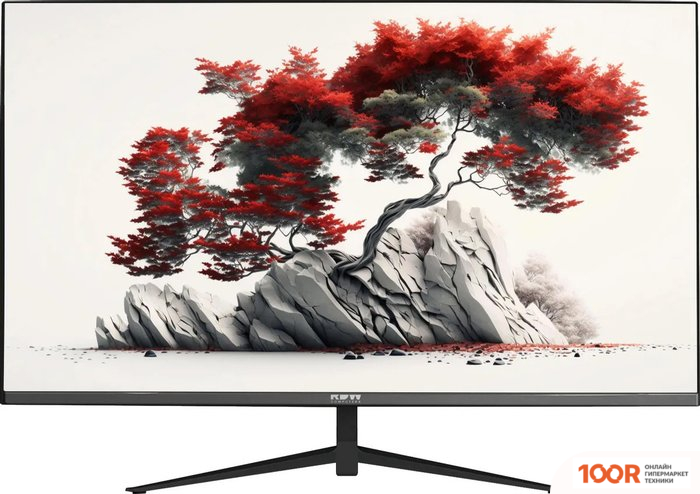 Монитор RDW Computers RDW2701K/Q00B0 (168113)