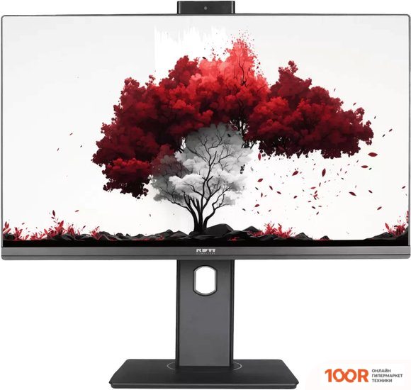 Монитор RDW Computers RDW2402K/F00B3 (168109)