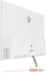 Монитор Raskat I24F10DAW (168090)