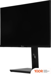 Монитор PINEBRO MF-2404AH(100) (168064)