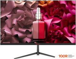 Монитор PINEBRO MF-2403T (168062)