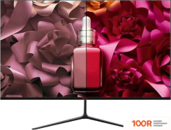 Монитор PINEBRO GF-2403T (168054)