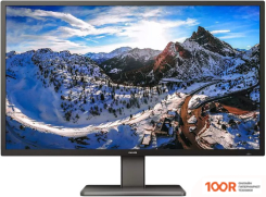 Монитор Philips 439P1/00 (167987)