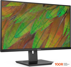 Монитор Philips 32B1N3800/00 (167960)