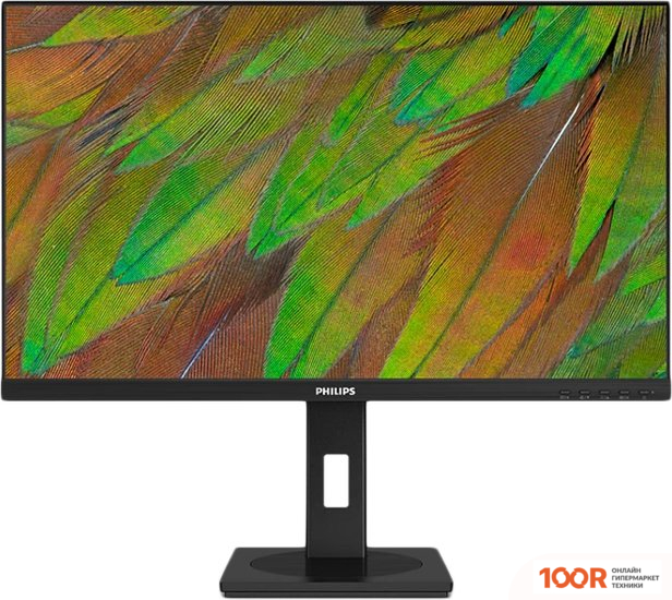 Монитор Philips 27B1N3800/00 (167901)