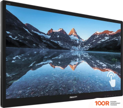 Монитор Philips 242B9TN/00 (167798)