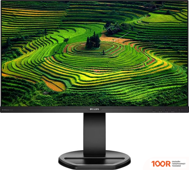 Монитор Philips 241B8QJEB/01 (167782)