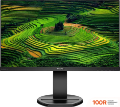 Монитор Philips 241B8QJEB/01 (167782)