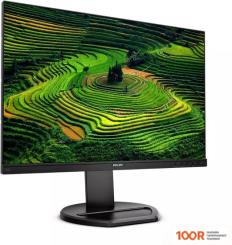 Монитор Philips 230B8QJEB/00 (167779)